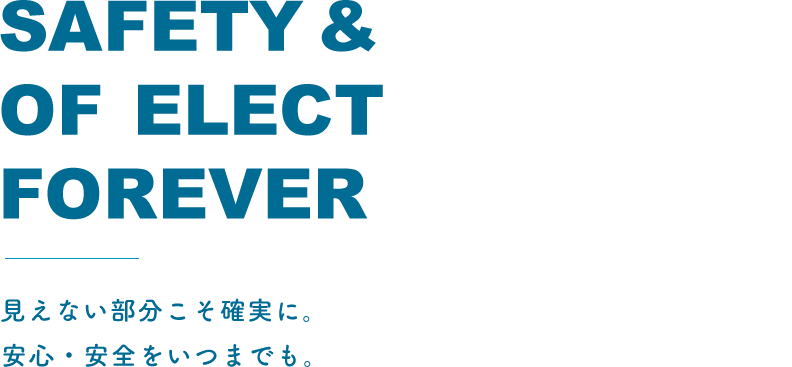 SAFETY & SECURITY OF ELECTRICITY FOREVER